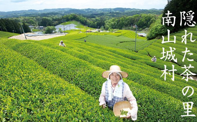 【宇治抹茶スイーツ】抹茶の味がしっかりと味わえる　む