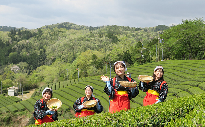 茶娘衣装を着て茶畑の中で撮影プラン（大人１名：中学生以上）