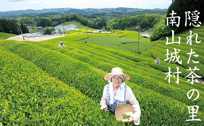 むらちゃ水ようかん6個セット