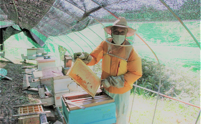 【新登場！】～京都府南山城村産～中下おじちゃんの愛情詰まった天然ハチミツ500g（非加熱）