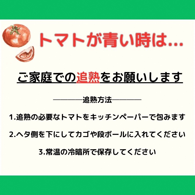 【旬な時期にお届け♪7月下旬より随時配送】内藤おじちゃんが育てる採れたて新鮮な童仙房高原トマト2kgセット◎エコファーマー認定者◎京都府南山城村産