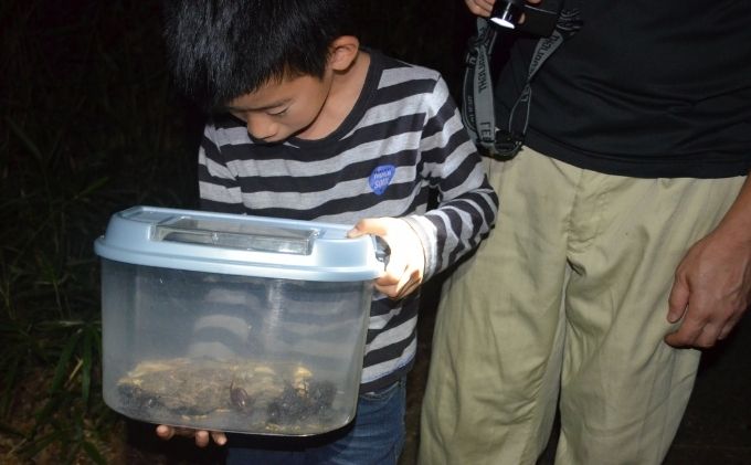 【優先貸切】NHKテレビで取り上げられました!＜先行予約＞【体験期間 2026年6月～8月中旬】虫捕り名人と行く「昆虫採集ツアー」ご利用券(グループ貸切用・車1台) 昆虫 カブトムシ クワガタ アウトドア 京都 南山城村