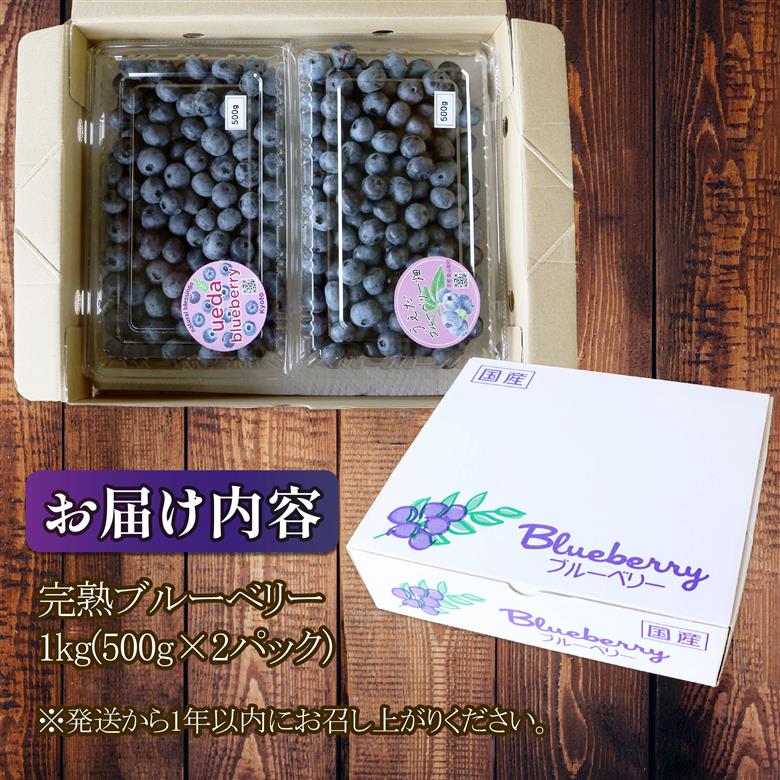 先行予約【2026年8月下旬頃から出荷】うえだブルーベリー畑の手摘みブルーベリー【1kg】