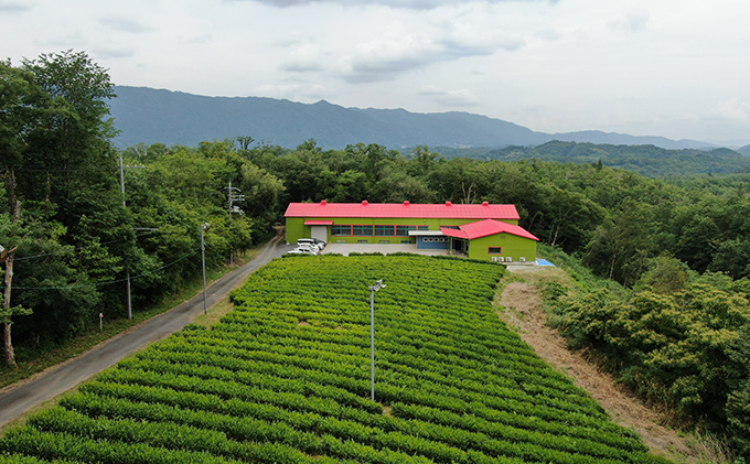【体験期間：6月末まで】村内の茶畑で茶摘み＆手もみ製茶体験！茶娘衣装貸出付き（大人ペアチケット）