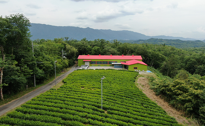 【お子様料金】茶娘衣装を着て茶畑の中で撮影プラン（小人1名：小学生以下）