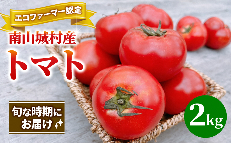 【旬な時期にお届け♪7月下旬より随時配送】内藤おじちゃんが育てる採れたて新鮮な童仙房高原トマト2kgセット◎エコファーマー認定者◎京都府南山城村産