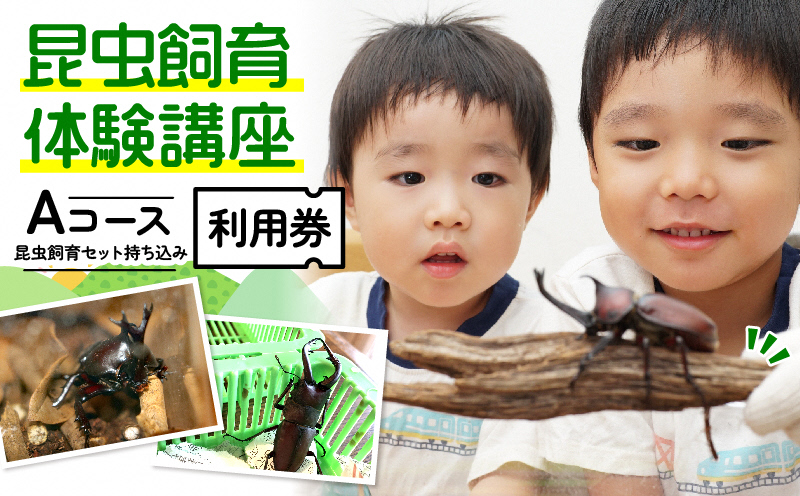 【幼児～小学生対象】昆虫飼育体験講座Aコース（昆虫・飼育セット各自お持ち込み＜体験：7月～9月の各日曜日＞）ご利用券（1名様） 体験チケット 生き物 子供 キッズ