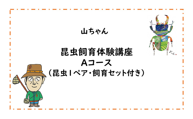 【幼児～小学生対象】昆虫飼育体験講座Aコース（昆虫成虫1ペアと飼育セット付き＜体験：7月～9月の各日曜日＞）ご利用券（1名様） 体験チケット 生き物 子供 キッズ