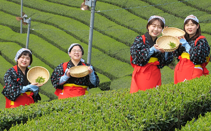 茶娘衣装を着て茶畑の中で自由に撮影プラン（大人ペアチケット）