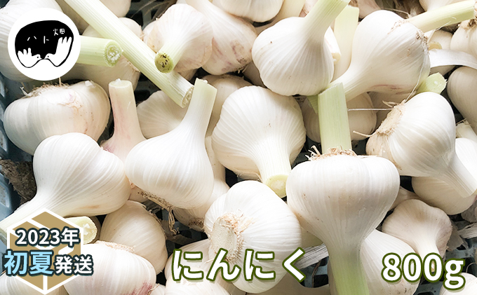 にんにく800g（2023年初夏発送）