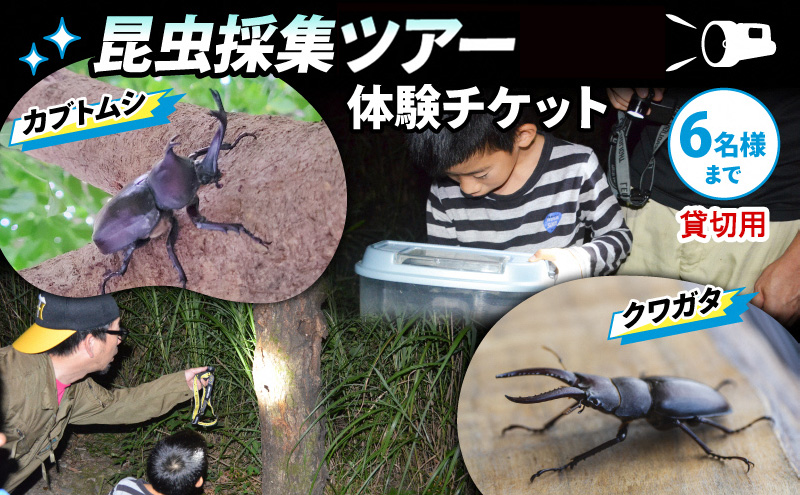 ★昆虫採集★虫取り網★最長６ｍ１８ｃｍ クワガタムシ・カブトムシの採集に！捕虫網 ☆昆虫採集☆虫取り網☆最長6m18cm クワガタムシ・カブトムシの