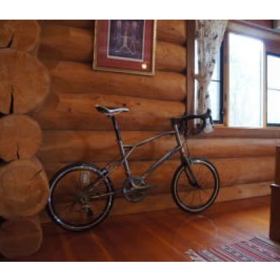 【高島屋選定品】 チタンフレームオーダーメイド自転車　小径車(ミニベロ)タイプ　【WELD ONE】