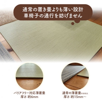 薄置畳2枚 バリアフリー対応(厚さ6mm)【彩園01 新銀白色】フロアタイルとして使用できる置き畳