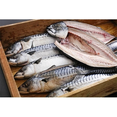 橋立やまいち自慢　旨みたっぷりふっくら塩サバ(大)×2本【配送不可地域：離島・北海道・沖縄県】