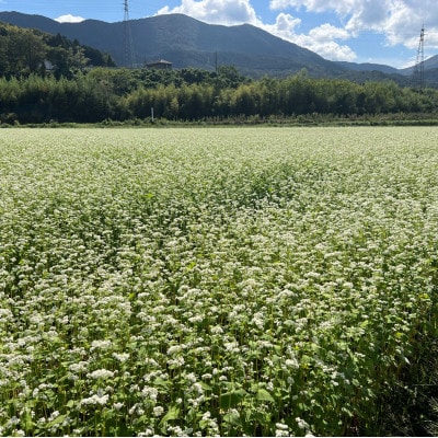あっぷるさんのそば粉　京都府与謝野町で育った国産蕎麦から作った蕎麦粉　1kg×2袋入り