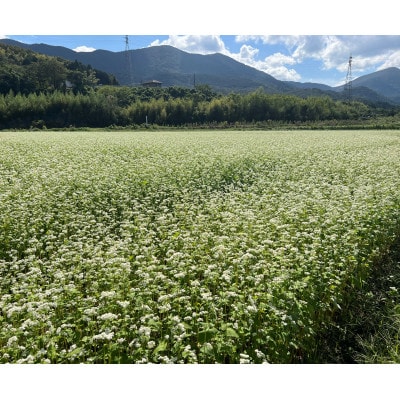 あっぷるさんのそば粉　京都府与謝野町で育った国産蕎麦から作った蕎麦粉　1kg×1袋