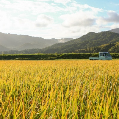 令和7年新米　大江山の麓、京都府与謝野町で育った丹後産コシヒカリ　精米5kg　おいしいお米を農家直送