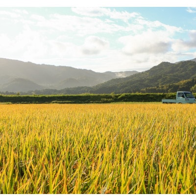 令和7年新米　大江山の麓、与謝野町で育った丹後産ミルキークイーン　精米5kg　おいしいお米を農家直送