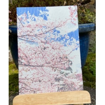 御城印帳(丸岡城)