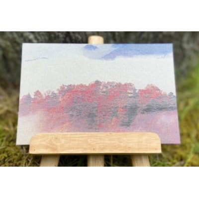 御城印帳(備中松山城)