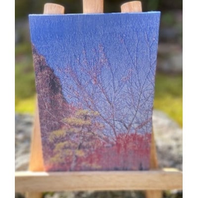 御城印帳(犬山城 紅葉)