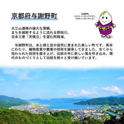 【返礼品なし】与謝野町への応援寄附(返礼品はございません)　寄附額10,000円
