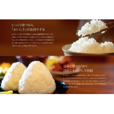 令和7年産新米　京都府与謝野町産コシヒカリ「京の豆っこ米」精米5kg　山口農園こだわりの特別栽培米