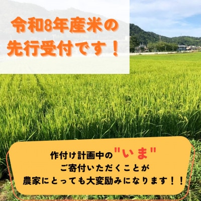 【先行受付】令和8年産米 京都府与謝野町産 丹後コシヒカリ 精米5kg もちもち食感が特徴のお米