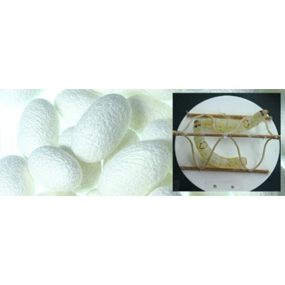 高純度シルクアミノ酸健康補助食品シルクペプチド顆粒スティック30本セット【無添加ナチュラル味】