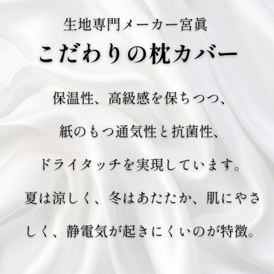 洗える抗菌シルク和紙 枕カバー  1枚　肌にやさしい、美容・ヘアケアにぴったり 【高島屋選定品】
