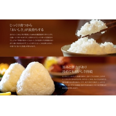 【毎月定期便】京都与謝野町産コシヒカリ「京の豆っこ米」精米5kg【誠武農園】 農家直送全12回