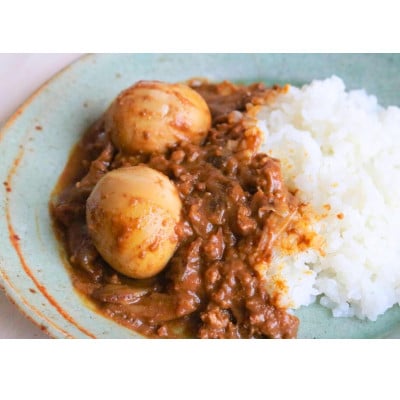 tangobar　ごちそう缶詰　住山ごぼうの黄キーマカレー　192g×2缶　アウトドアにも最適