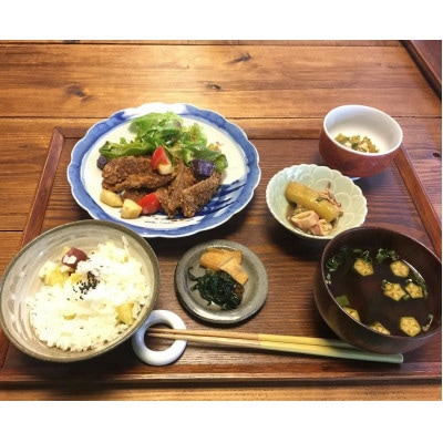 森の美しさを守る 天橋立阿蘇海にそそぐ水を辿る『与謝野森ツアー』森の恵みジビエランチ付き!