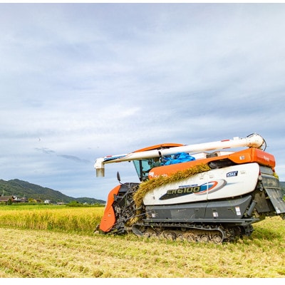 令和7年産米「京の豆っこ米」精米5kg　低農薬コシヒカリ　京都与謝野町　【伊達農園】