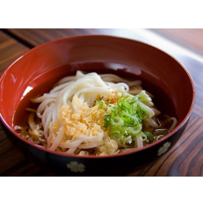 へじや製麺のうどん生麺10食セット 太麺タイプ　ぶっかけ(冷)用特製だしつゆ付【配送不可地域：離島】