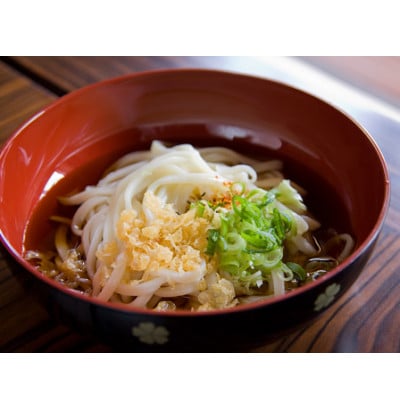 へじや製麺のうどん生麺10食セット 細麺タイプ　ぶっかけ(温)用特製だしつゆ付【配送不可地域：離島】