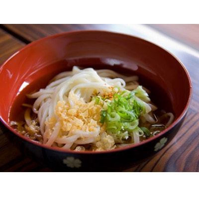 へじや製麺のうどん生麺10食セット 細麺タイプ　ぶっかけ(冷)用特製だしつゆ付【配送不可地域：離島】