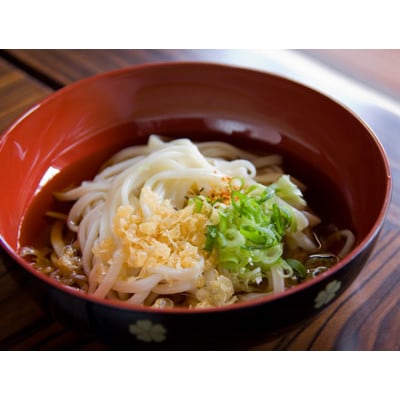 へじや製麺のうどん生麺10食セット 細麺タイプ　つけ用特製だしつゆ付　うどんのまち与謝野町【配送不可地域：離島】