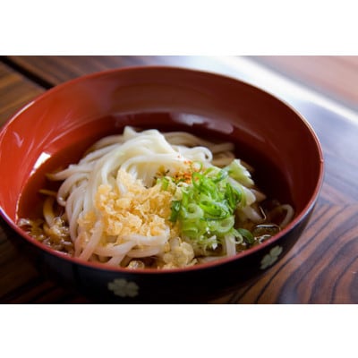 へじや製麺のうどん生麺5食セット 太麺タイプ　つけ用特製だしつゆ付　うどんのまち与謝野町【配送不可地域：離島】