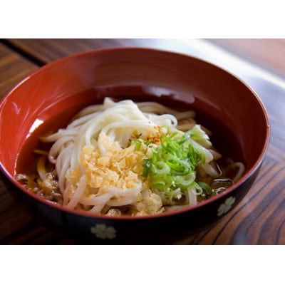 へじや製麺のうどん生麺5食セット 細麺タイプ　ぶっかけ(冷)用特製だしつゆ付【配送不可地域：離島】
