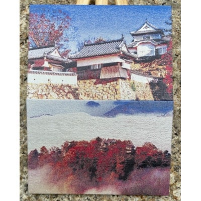 御城印帳(備中松山城)