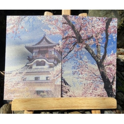 御城印帳(犬山城 桜)