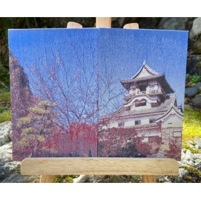 御城印帳(犬山城 紅葉)