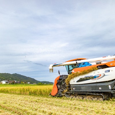 令和7年産新米　特別栽培キヌヒカリ「京の豆っこ米」精米10kg　京都与謝野町　【伊達農園】　数量限定