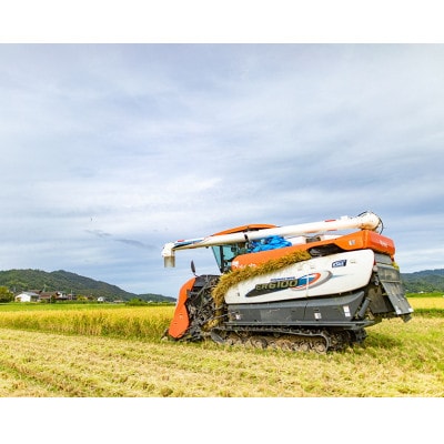 令和7年産新米 特別栽培米「ゆうだい21」精米10kg　京都与謝野町　【伊達農園】　数量限定