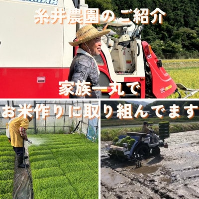 【令和7年産米】京都府与謝野町産 丹後コシヒカリ 精米20kg　もちもち食感が特徴のおいしいお米