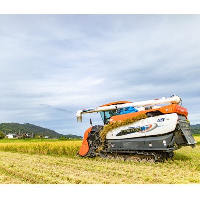 令和7年産米　コシヒカリ・ゆうだい21・キヌヒカリ精米5kg×3　銘柄米食べ比べセット　合計15キロ