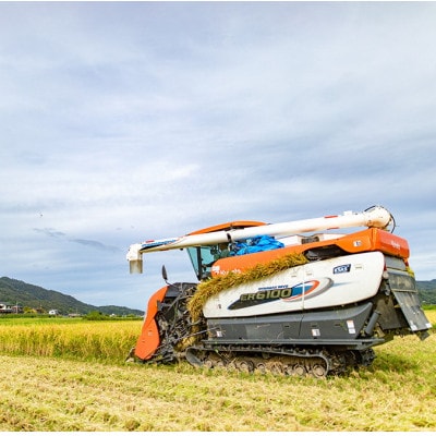 令和7年産米「京の豆っこ米」低農薬コシヒカリ　精米10kg 農家直送　京都与謝野町【伊達農園】