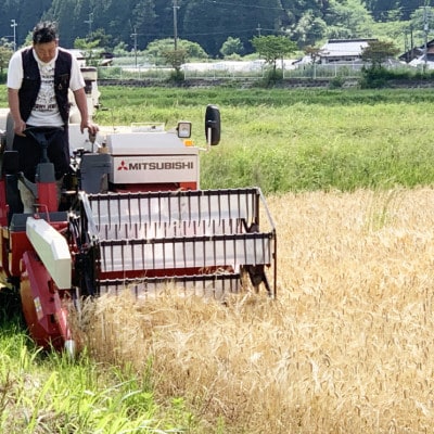 数量限定!令和7年産 自然循環農業で育った京都与謝野町産コシヒカリ「京の豆っこ米」　玄米30kg