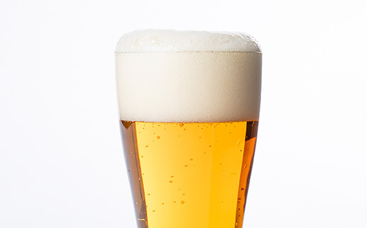 【与謝野町産ホップ使用クラフトビール】 ASOBI(アソビ) 350ml×12本　ペールエール